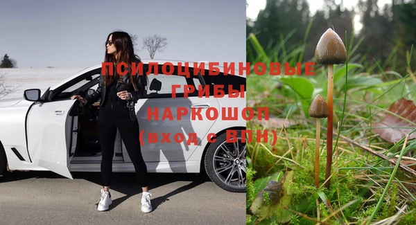 каннабис Алексин