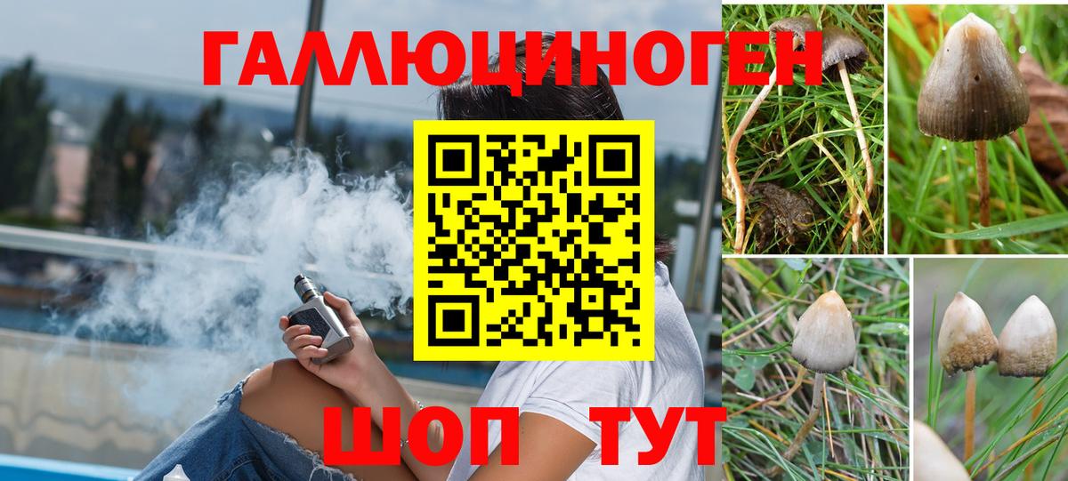 Галлюциногенные грибы Cubensis  Галлюциногенные грибы Magic Shrooms  магазин продажи наркотиков  Вход с VPN  Ивантеевка 