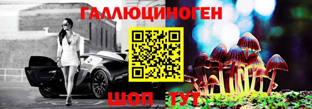 Псилоцибиновые грибы Psilocybe Ивантеевка