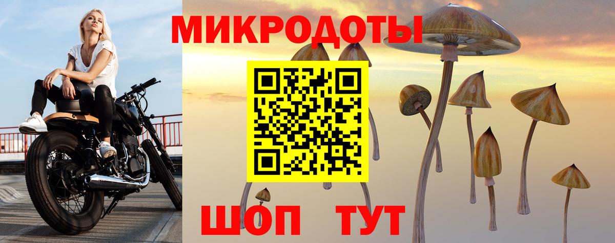 НБОМе Ивантеевка